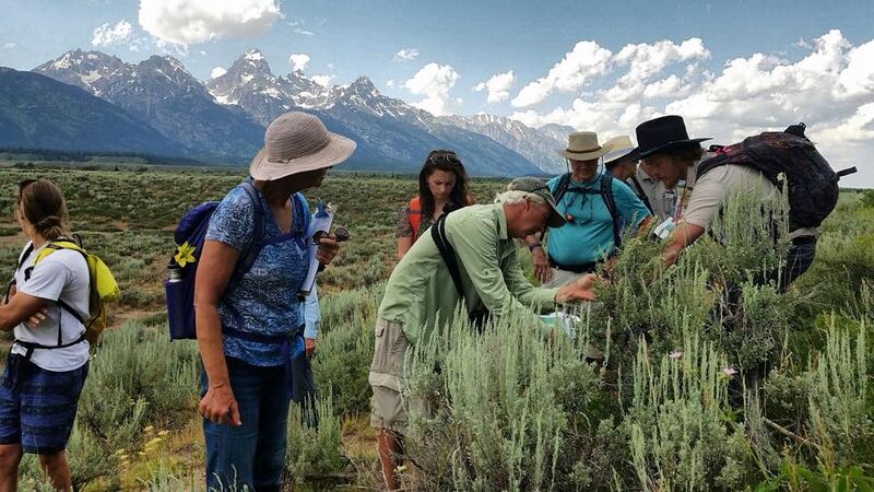 Datei:Citizen Science June 17 (26837200008).jpg